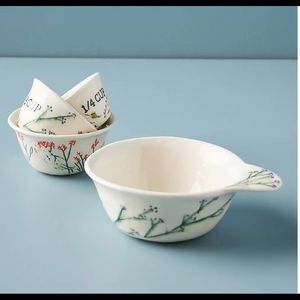 Anthropologie Floral Ceramic Measuring Cups